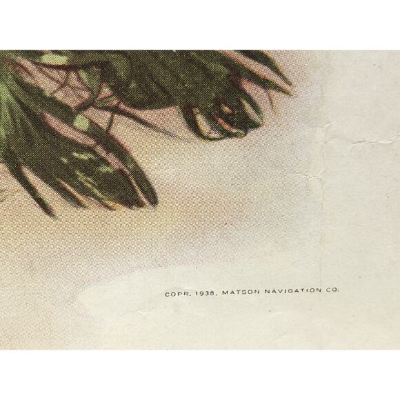 1938 Matson Cruise Line Vintage Hula Girl Hawaiian Flower Lei Travel Ephemera - Picture 7 of 10